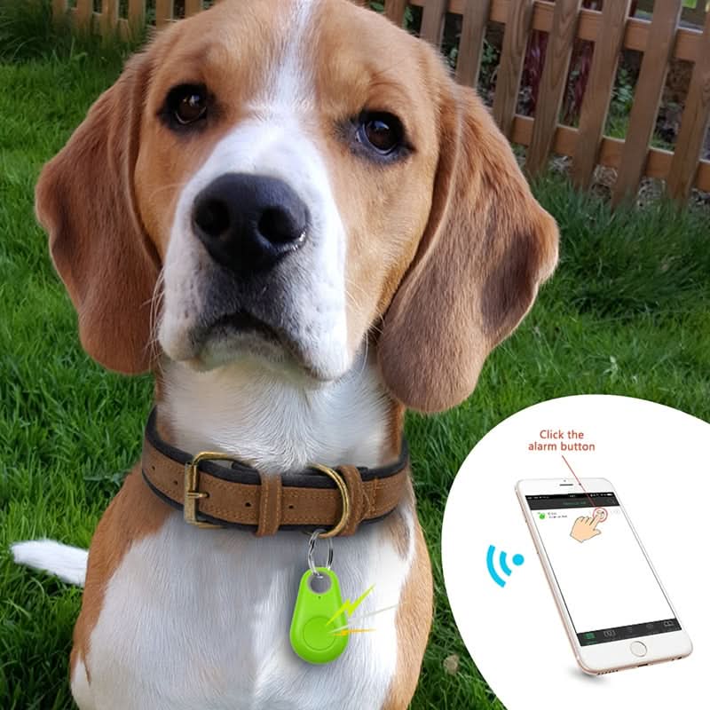 PetTrace Pro GPS-tracker Til Kæledyr Med Realtidssporing Og Sikkerhedszoner