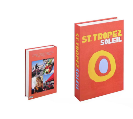 LuminaNest Vibrant Decor Books To Elevate Your Living Room Ambience