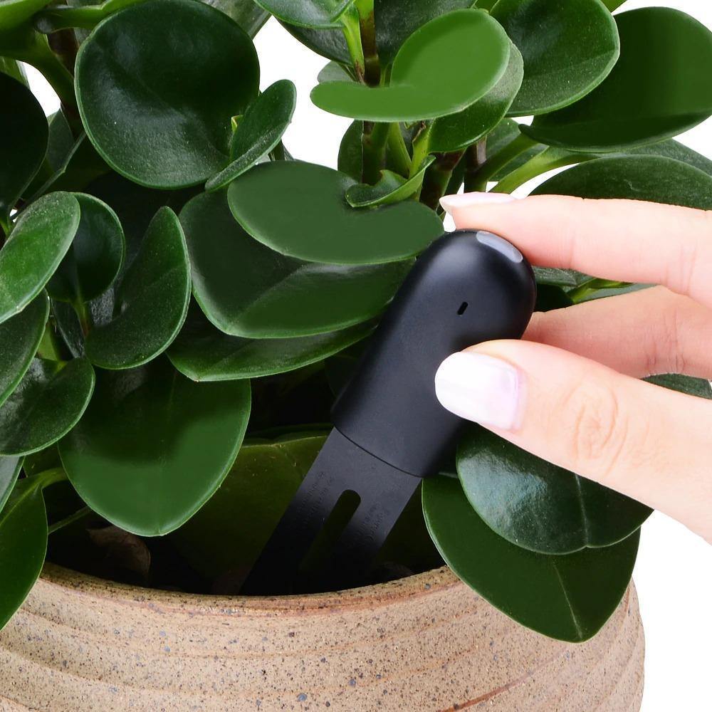 Capteur de santé des plantes avec compteur d'eau pour l'entretien du jardin à domicile