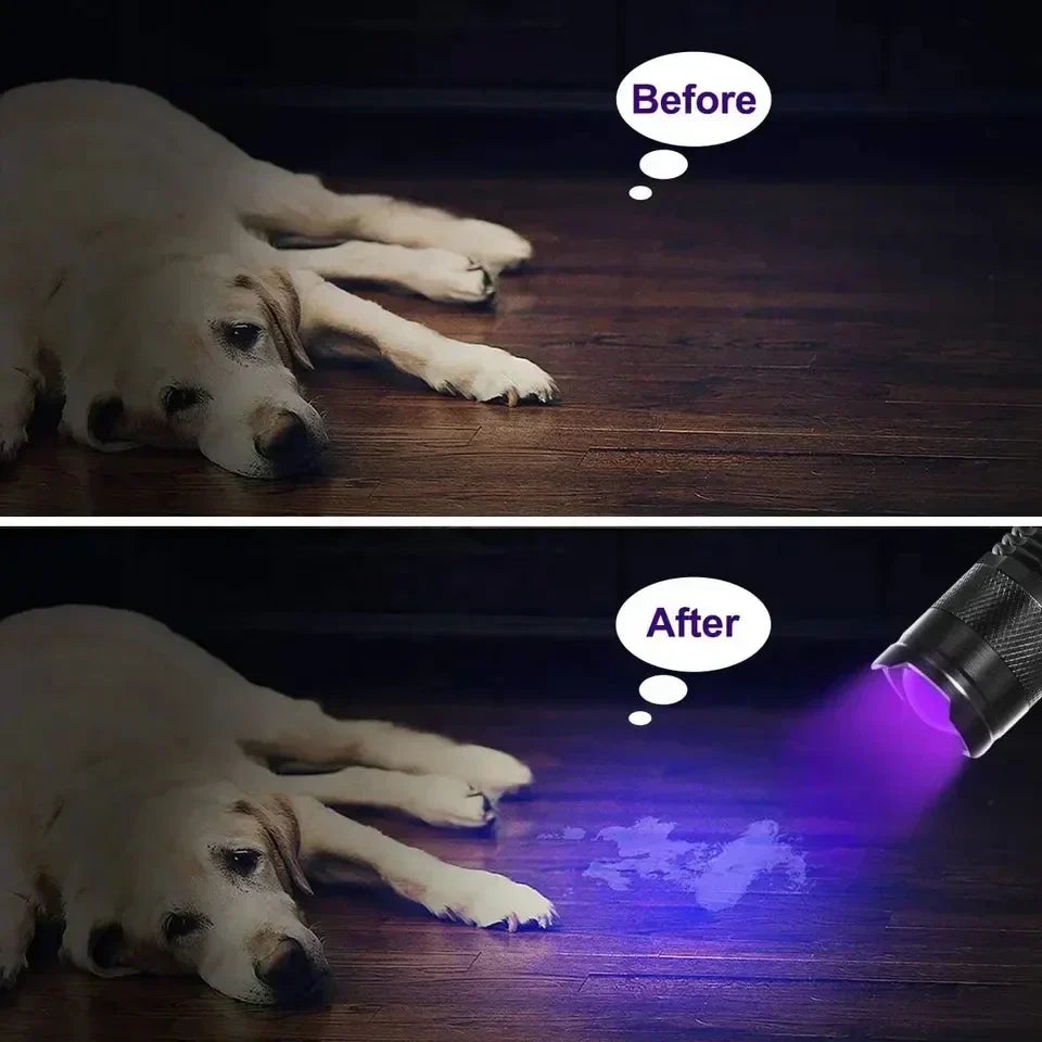 395Nm UV Light For Detecting Pet Stains And Fluid Residues