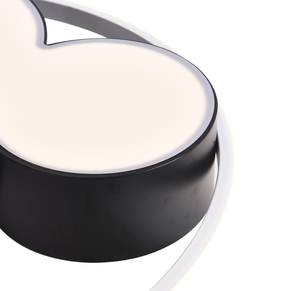 Kids Room Ceiling Light Dimmable LED Remote Black And White 45 Or 52 CM Mouse Design