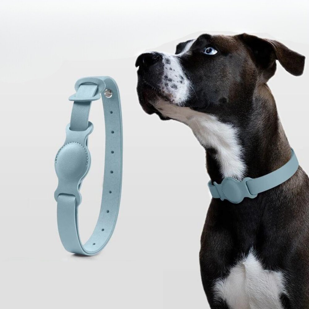 Collier pour chien AuroraLeather AirTag avec style premium et suivi sécurisé | Fervei
