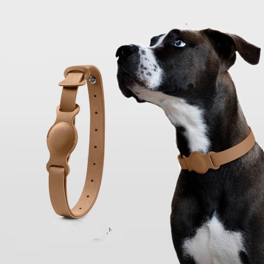Collier pour chien AuroraLeather AirTag avec style premium et suivi sécurisé | Fervei