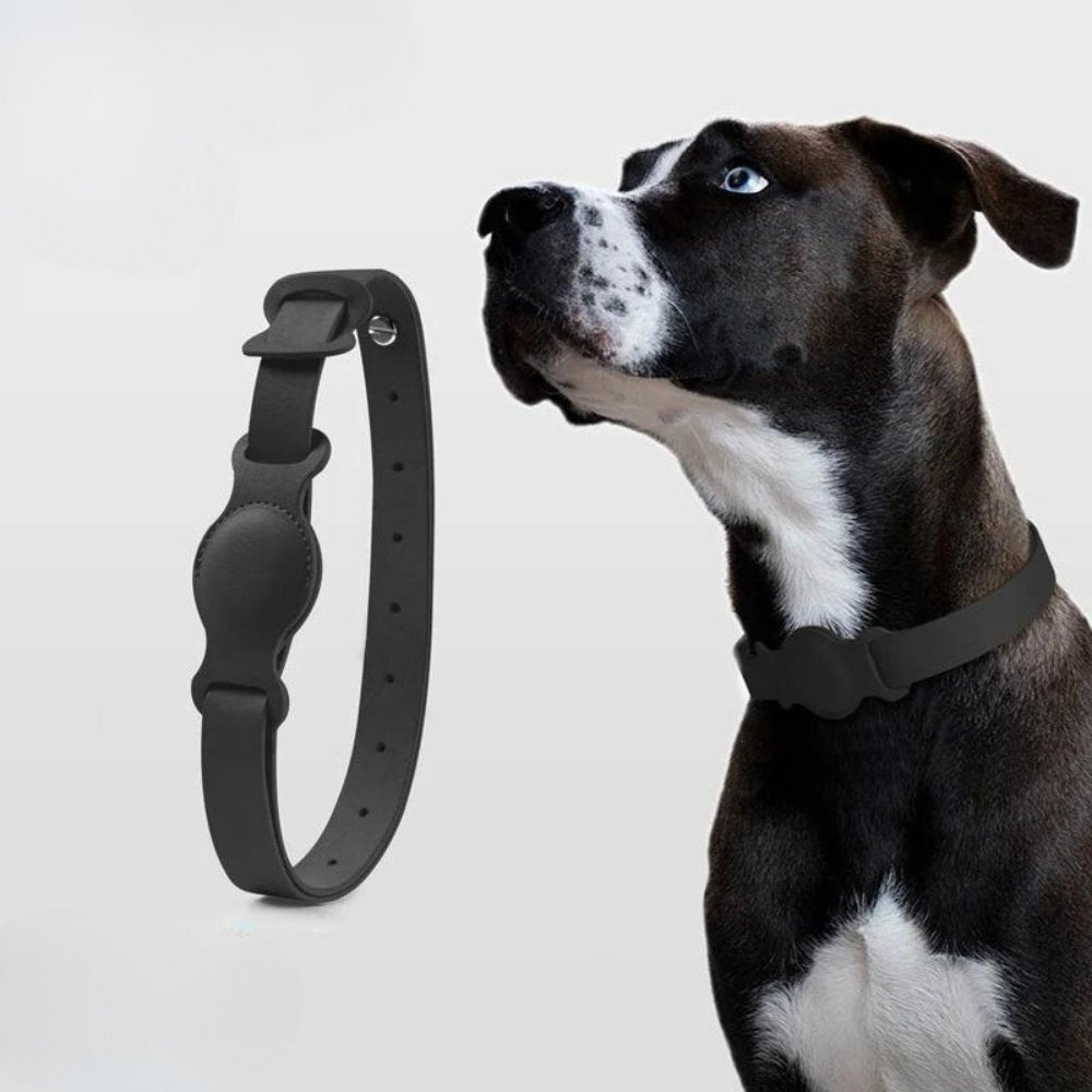 Collier pour chien AuroraLeather AirTag avec style premium et suivi sécurisé | Fervei