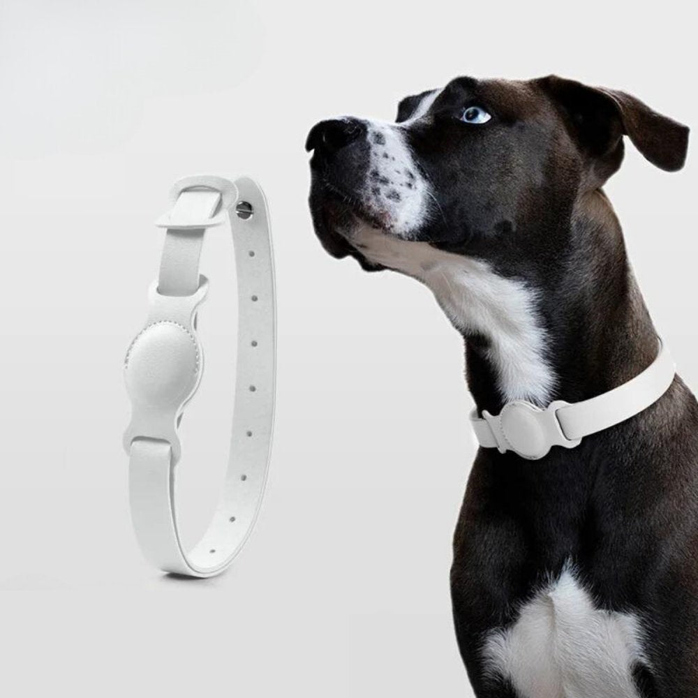 Collier pour chien AuroraLeather AirTag avec style premium et suivi sécurisé | Fervei