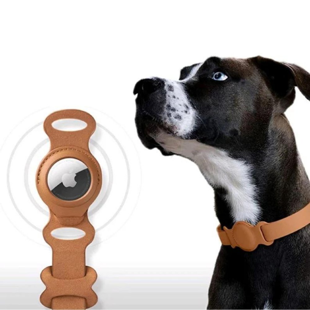 Collier pour chien AuroraLeather AirTag avec style premium et suivi sécurisé | Fervei