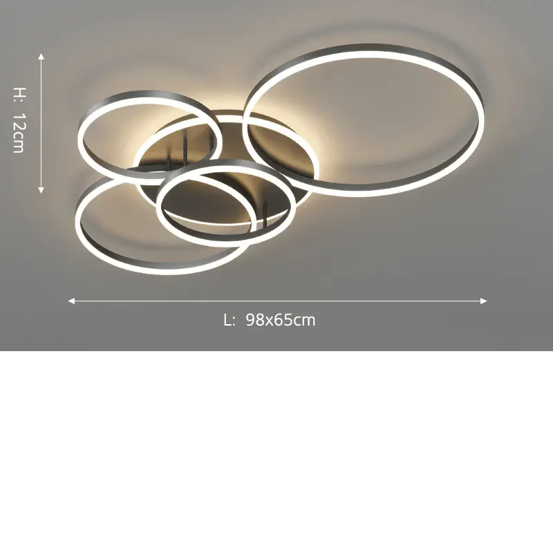 Nova černé kovové stropní světlo s otevřeným geometrickým rámem