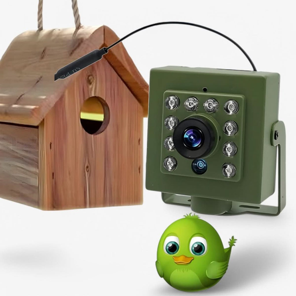 Nestcam WLAN Bird Nest Cam 1080p Weatherproof Night Vision Motion Detection Remote Access