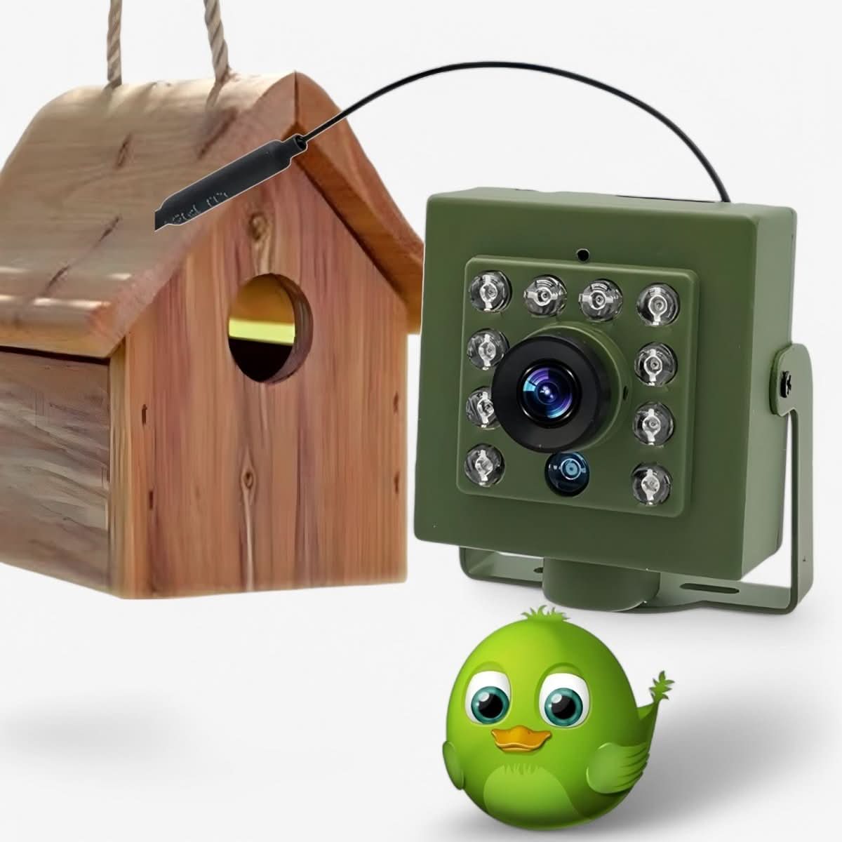 Nestcam WLAN Bird Nest Cam 1080p Weatherproof Night Vision Motion Detection Remote Access