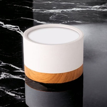 LumaNova LED Ceiling Light Downlight for Living Room Modern Minimalist Fixture