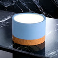 LumaNova LED Ceiling Light Downlight for Living Room Modern Minimalist Fixture