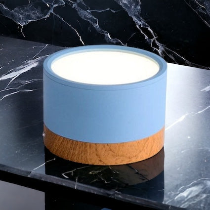 LumaNova LED Ceiling Light Downlight for Living Room Modern Minimalist Fixture