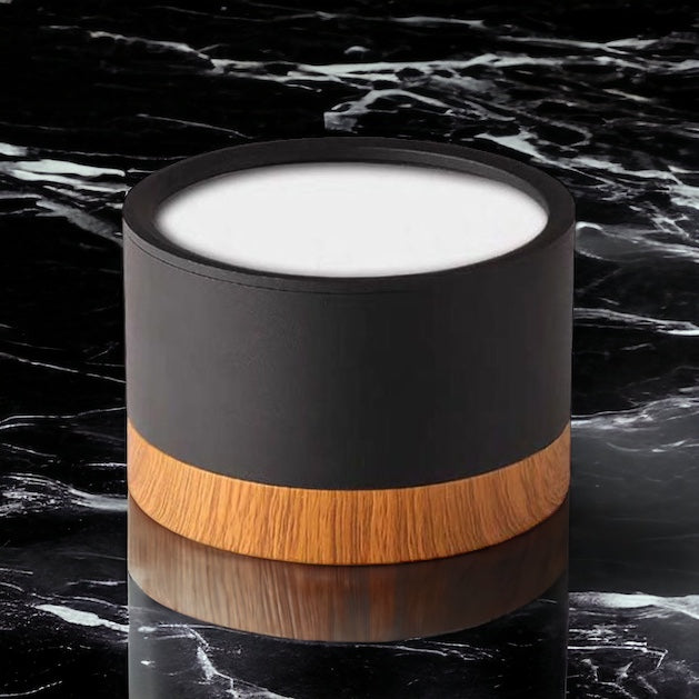 LumaNova LED Ceiling Light Downlight for Living Room Modern Minimalist Fixture