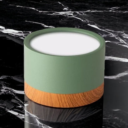 LumaNova LED Ceiling Light Downlight for Living Room Modern Minimalist Fixture