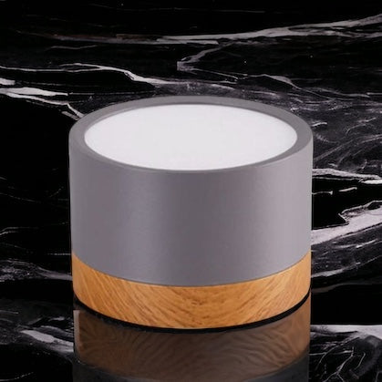 LumaNova LED Ceiling Light Downlight for Living Room Modern Minimalist Fixture