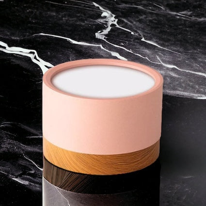 LumaNova LED Ceiling Light Downlight for Living Room Modern Minimalist Fixture