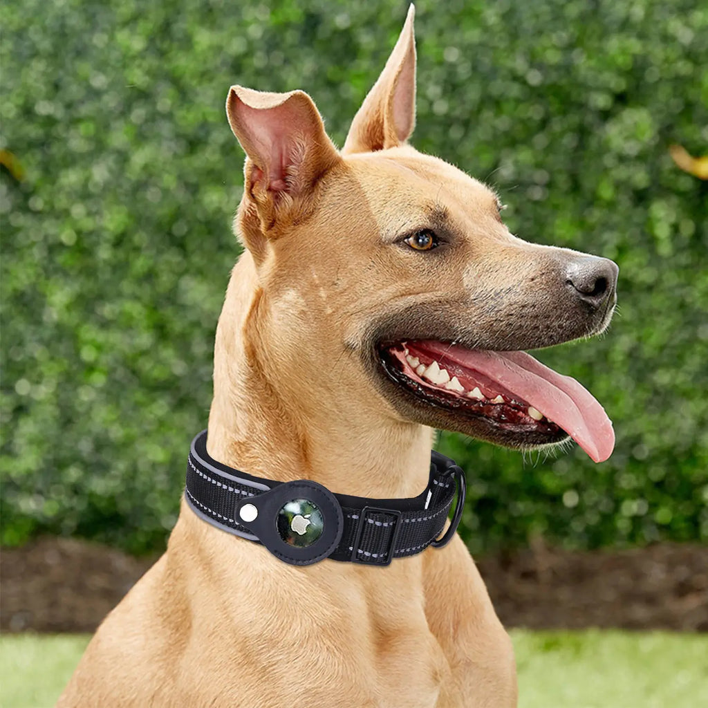 Airtag Dog Collar | Fervei