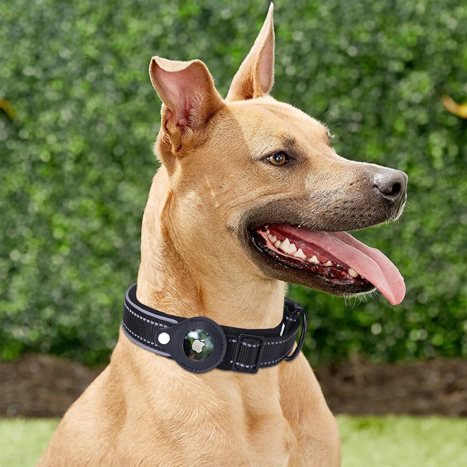 Airtag Dog Collar | Fervei