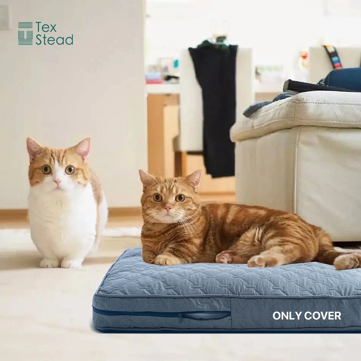 PAWCOZY SHELL Hoes voor hondenbed voor grote rassen voor hondencomfort