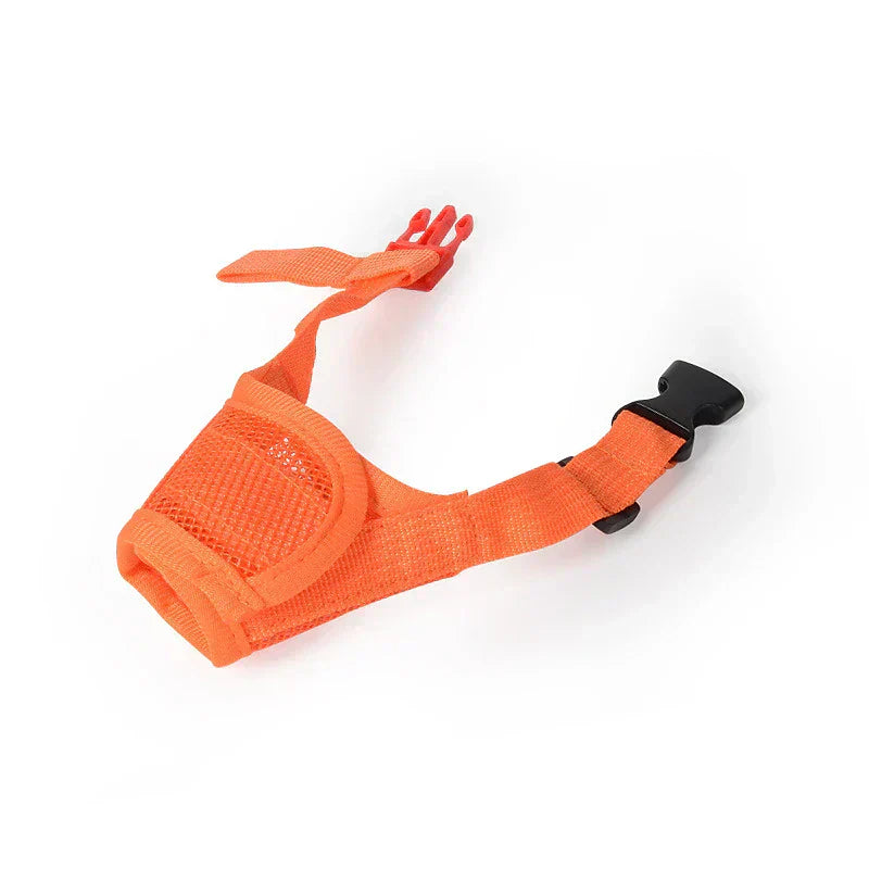 Colourful Breathable Dog Muzzle For Everyday Outdoor Use