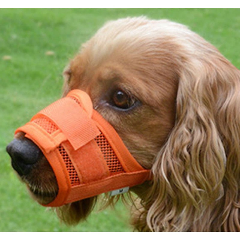 Colourful Breathable Dog Muzzle For Everyday Outdoor Use