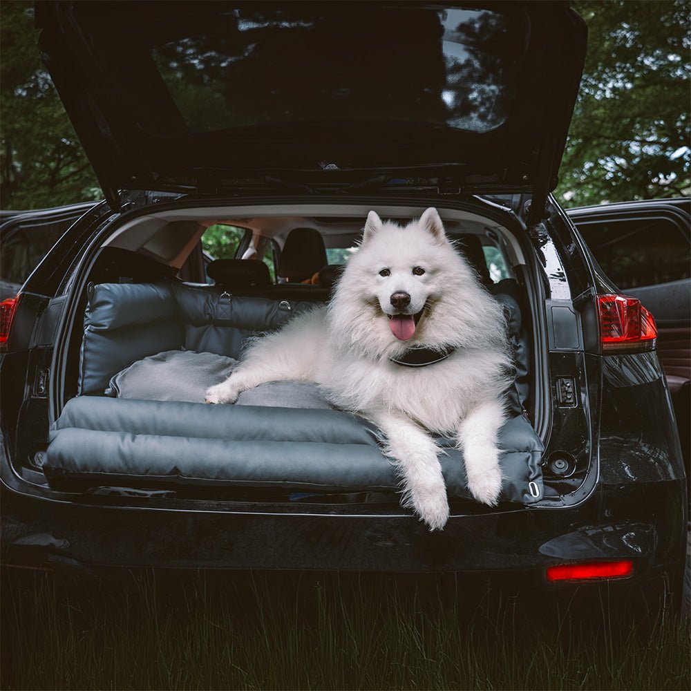 PAWPRESTIGE Premium Kunstleder Hundesitzbett, groß