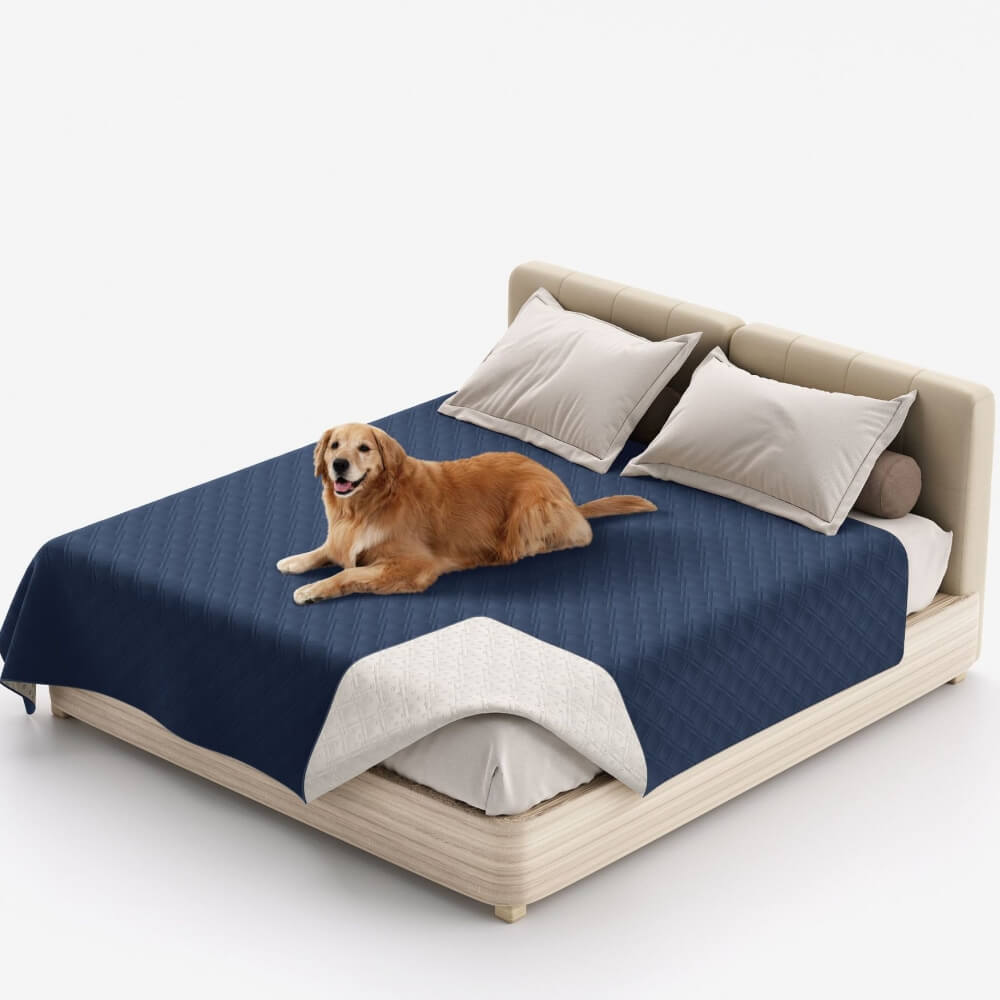 PETARMOR Durable Waterproof Blanket Safeguards Furniture