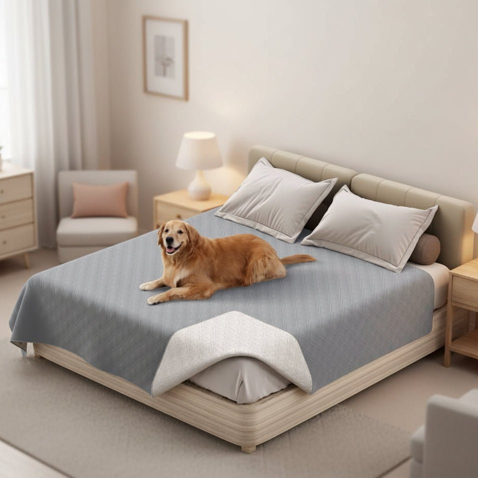 PETARMOR Durable Waterproof Blanket Safeguards Furniture