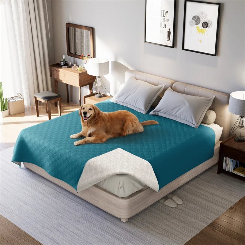 PETARMOR Durable Waterproof Blanket Safeguards Furniture