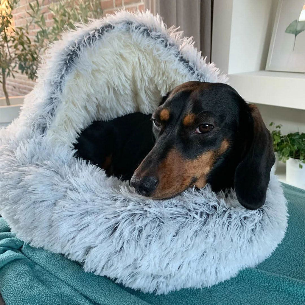 Luxury Couple's Pet Bed for Ultimate Comfort at Home