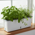 PlantMate Planter With Self Watering System For Consistent Hydration