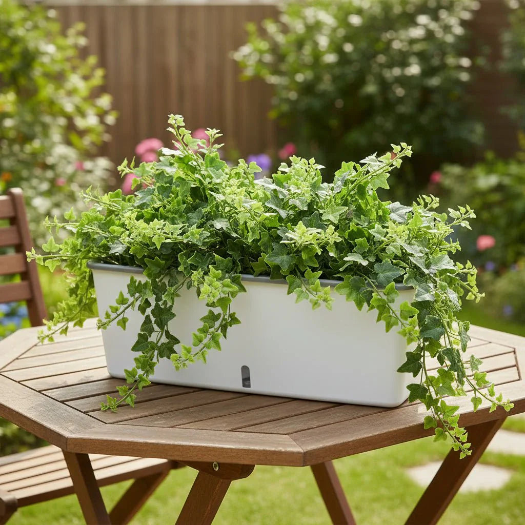 PlantMate Planter With Self Watering System For Consistent Hydration