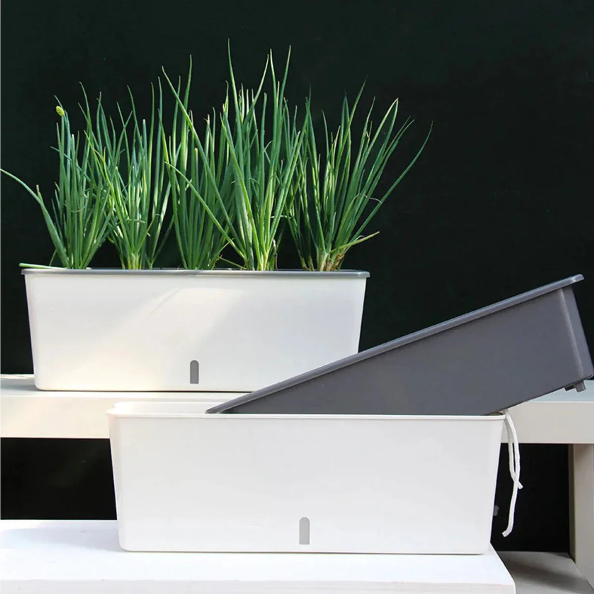 PlantMate Planter With Self Watering System For Consistent Hydration