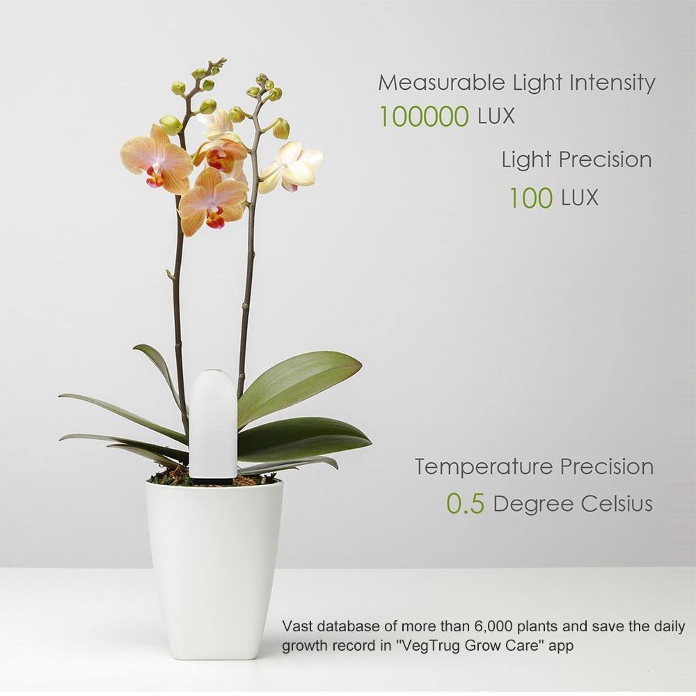 Capteur de santé des plantes avec compteur d'eau pour l'entretien du jardin à domicile
