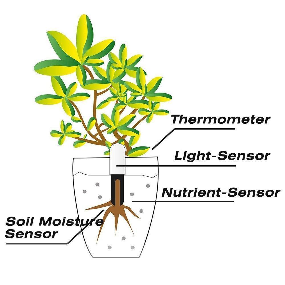 Capteur de santé des plantes avec compteur d'eau pour l'entretien du jardin à domicile