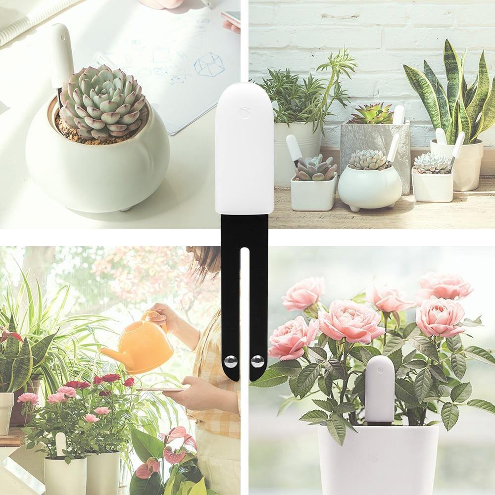 Capteur de santé des plantes avec compteur d'eau pour l'entretien du jardin à domicile