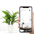 Capteur de santé des plantes avec compteur d'eau pour l'entretien du jardin à domicile