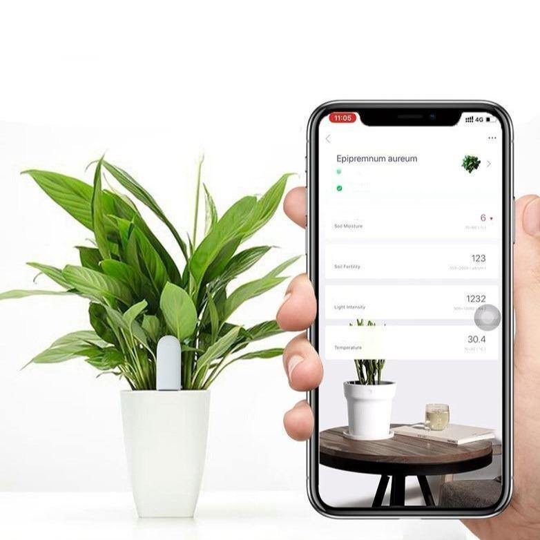 Capteur de santé des plantes avec compteur d'eau pour l'entretien du jardin à domicile
