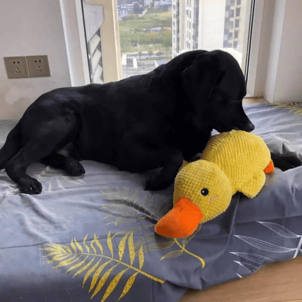 Giocattolo di peluche PawVerve a forma di anatra per cani con fischietto e comfort accogliente