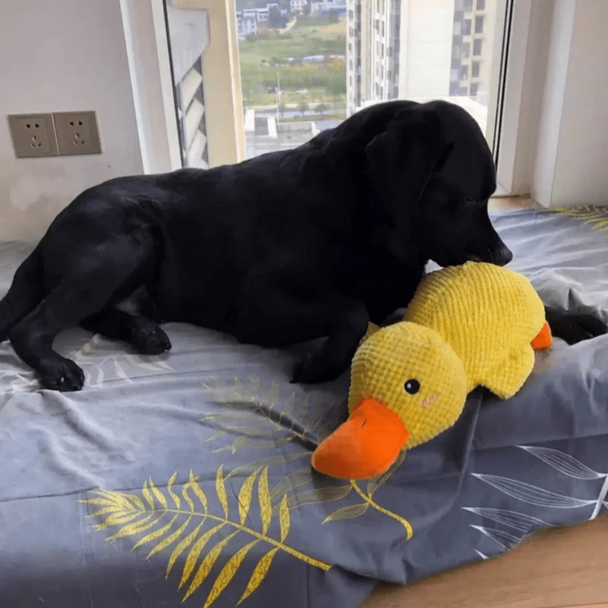 Giocattolo di peluche PawVerve a forma di anatra per cani con fischietto e comfort accogliente
