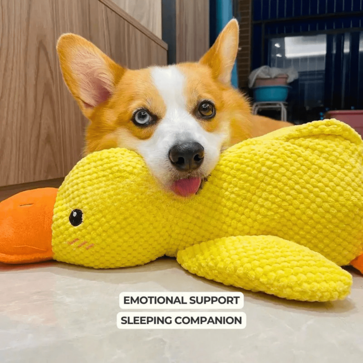 Giocattolo di peluche PawVerve a forma di anatra per cani con fischietto e comfort accogliente