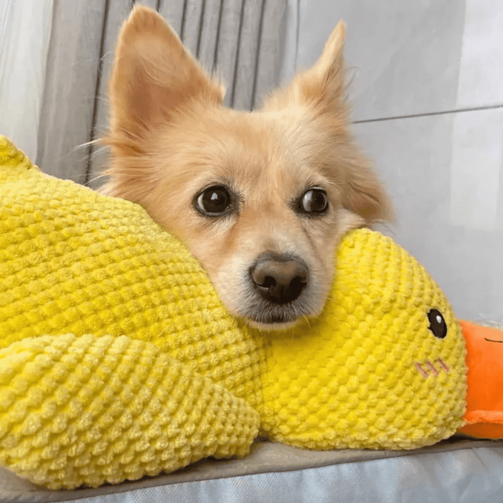 Giocattolo di peluche PawVerve a forma di anatra per cani con fischietto e comfort accogliente