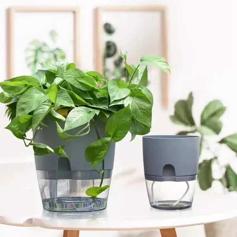 Vaso Idroponico Autoinnaffiante RootFloat per Piante da Interno