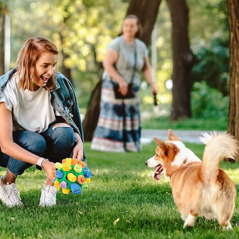 PawQuest Interaktivní čichací podložka pro mentální cvičení