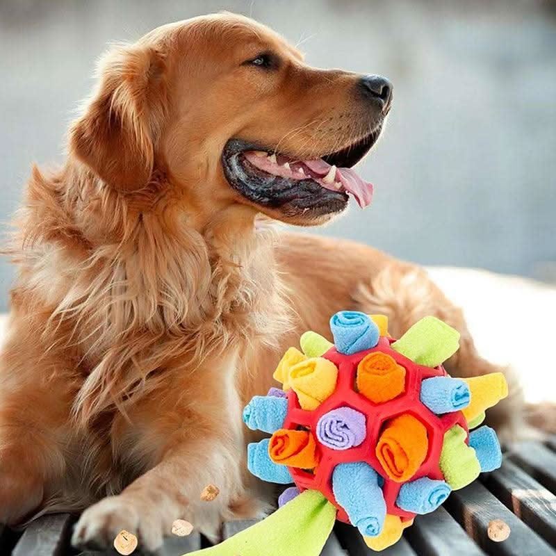 PawQuest Interaktivní čichací podložka pro mentální cvičení