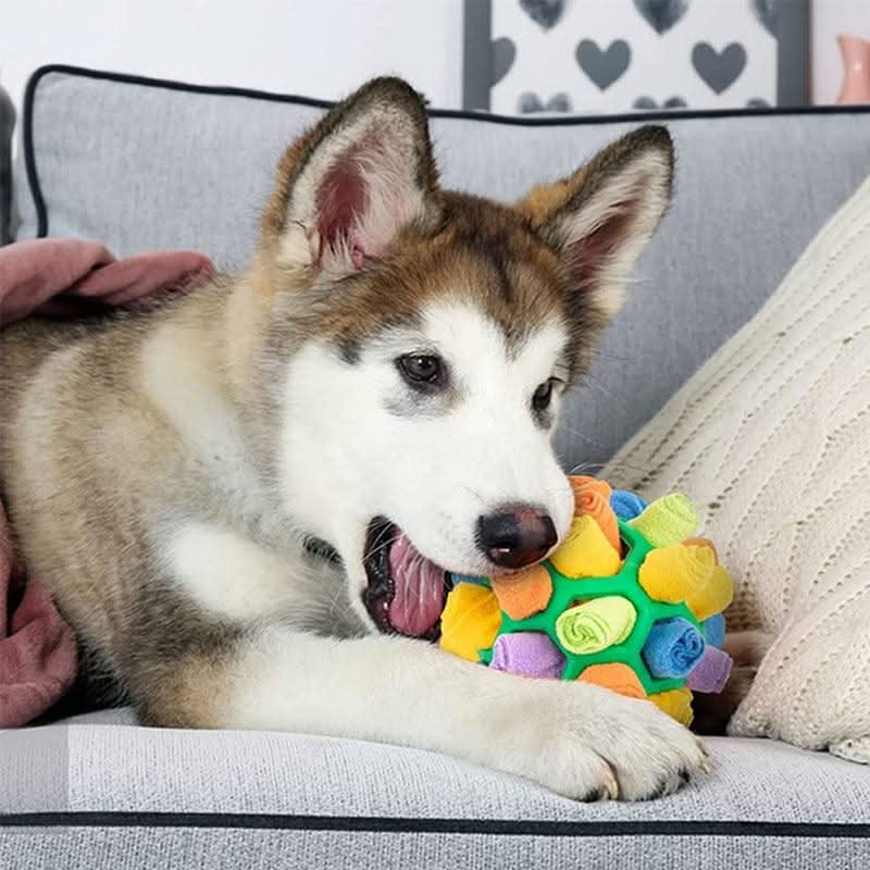 NoseQuest Mat Interactive Snuffle Toy Mental Stimulation for Dogs and Cats