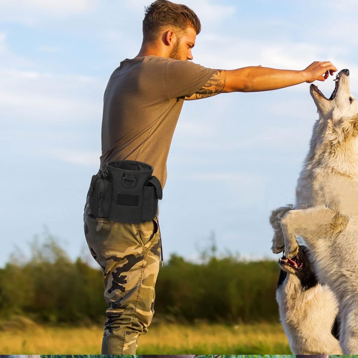 Pet Training Bag With Multiple Pockets For Treats And Gear