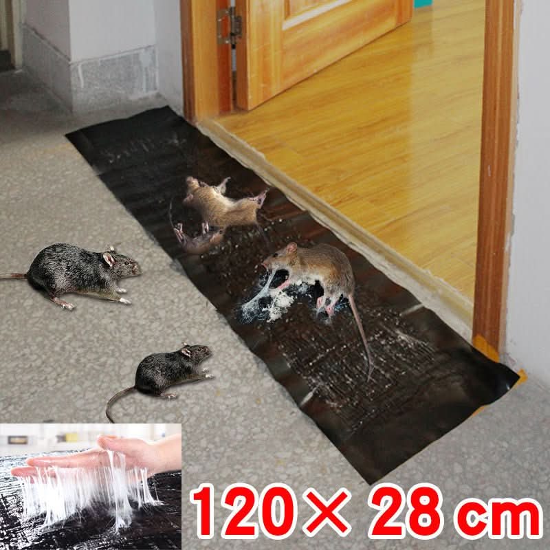 Trapzone Max Non Toxic Trap For Household Pest Control