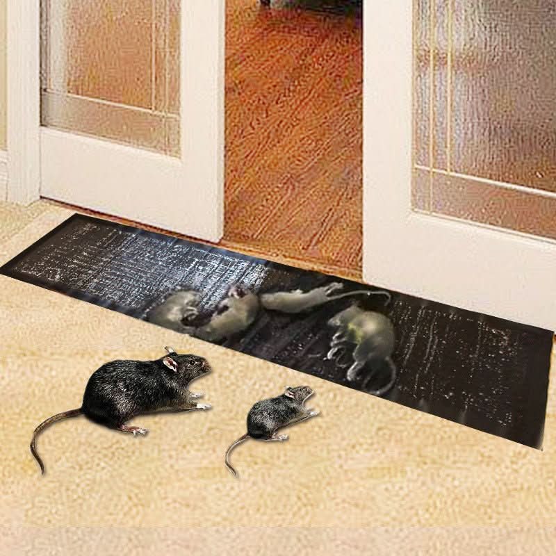 Trapzone Max Non Toxic Trap For Household Pest Control