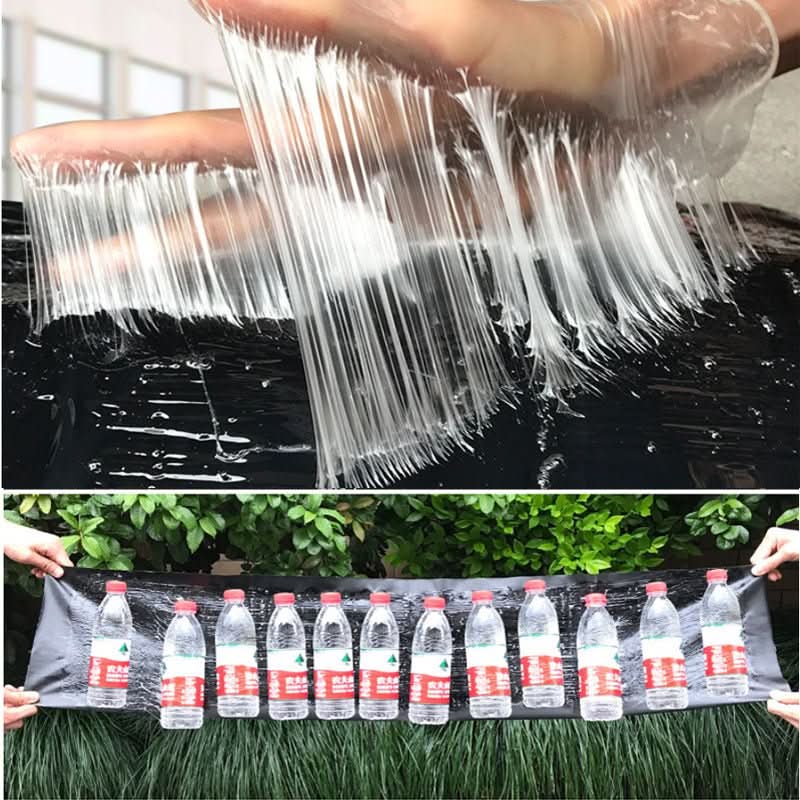 Trapzone Max Non Toxic Trap For Household Pest Control
